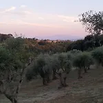 Agli Olivi Di Marciano