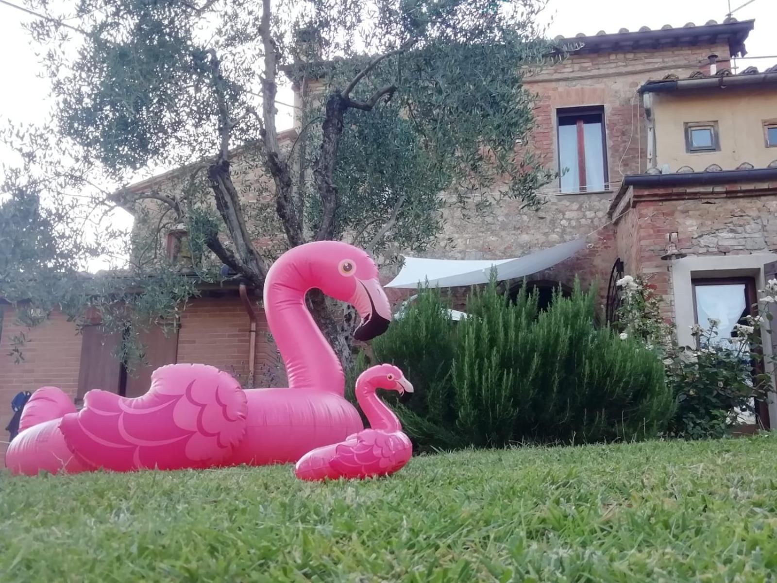 Agli Olivi Di Marciano Apartamento