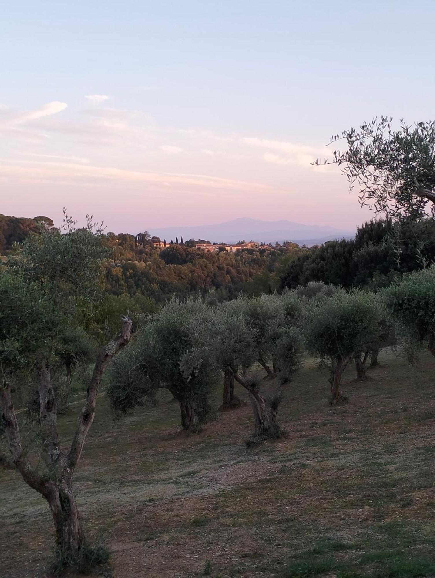 Agli Olivi Di Marciano Apartamento
