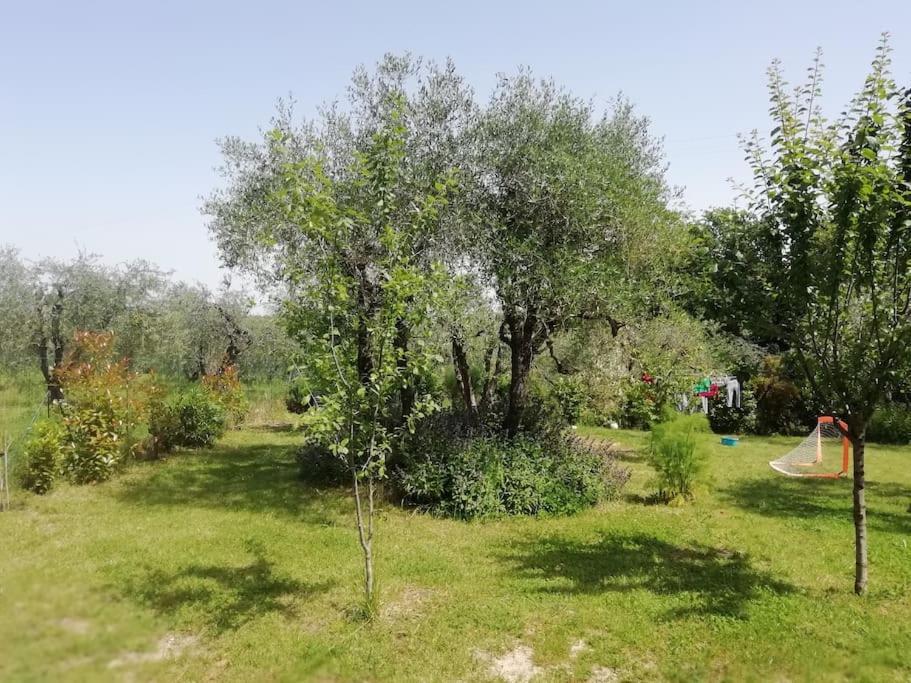 Apartamento Agli Olivi Di Marciano *