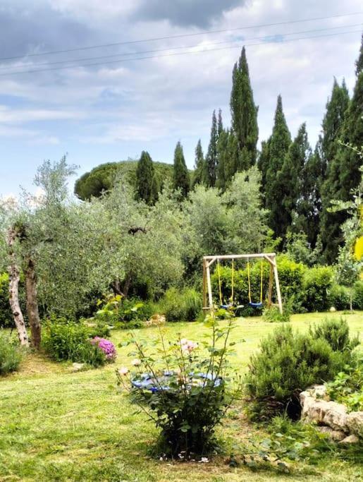 Agli Olivi Di Marciano Siena