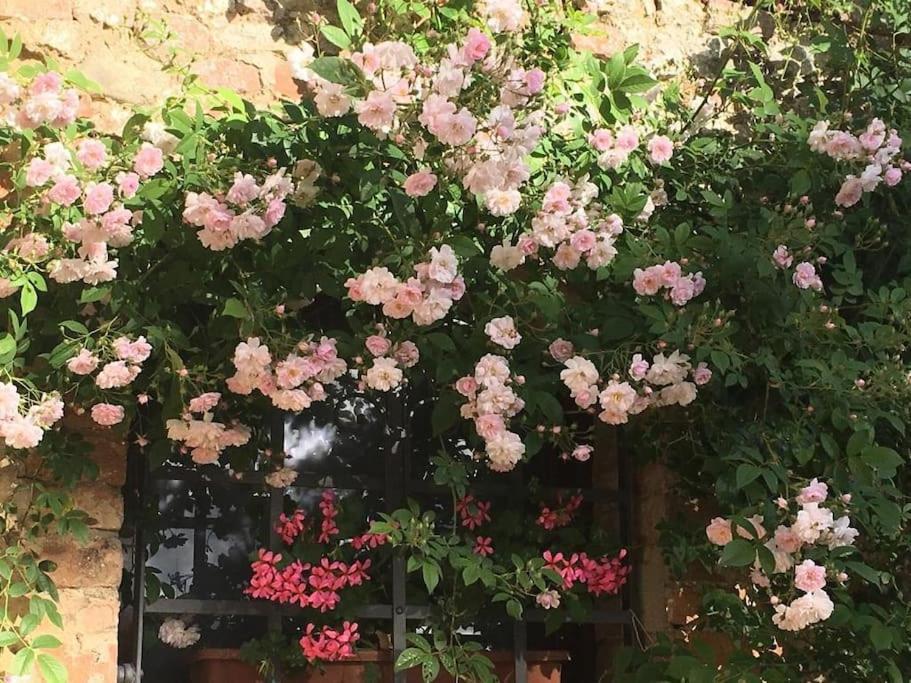 Agli Olivi Di Marciano * Siena